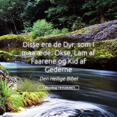 Picture 05 - 5 Mosebog 14:4 DA1871 - Disse ere de Dyr, som I maa æde: Okse, Lam af - Bible Verse Picture