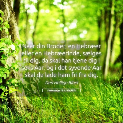 Picture 05 - 5 Mosebog 15:12 DA1871 - Naar din Broder, en Hebræer eller en - Bible Verse Picture