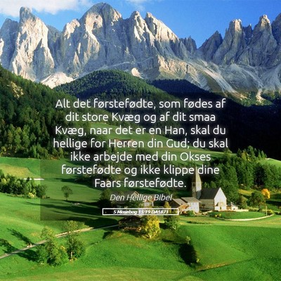 Picture 05 - 5 Mosebog 15:19 DA1871 - Alt det førstefødte, som fødes af dit store - Bible Verse Picture