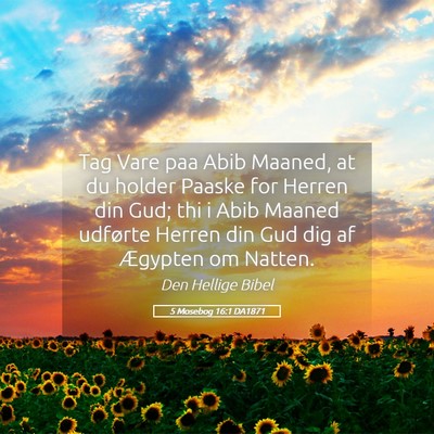 Picture 05 - 5 Mosebog 16:1 DA1871 - Tag Vare paa Abib Maaned, at du holder Paaske for - Bible Verse Picture