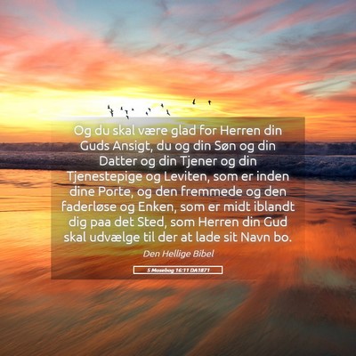 Picture 05 - 5 Mosebog 16:11 DA1871 - Og du skal være glad for Herren din Guds Ansigt, - Bible Verse Picture