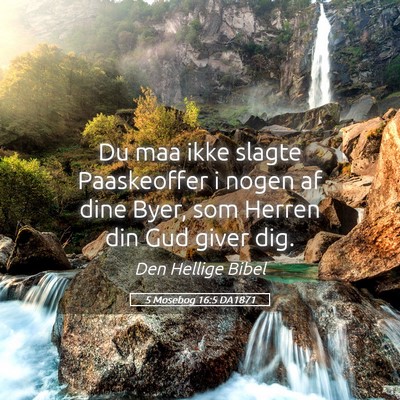 Picture 05 - 5 Mosebog 16:5 DA1871 - Du maa ikke slagte Paaskeoffer i nogen af dine - Bible Verse Picture