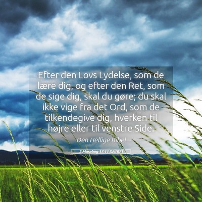 Picture 05 - 5 Mosebog 17:11 DA1871 - Efter den Lovs Lydelse, som de lære dig, og - Bible Verse Picture