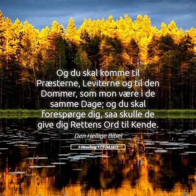 Picture 05 - 5 Mosebog 17:9 DA1871 - Og du skal komme til Præsterne, Leviterne og til - Bible Verse Picture