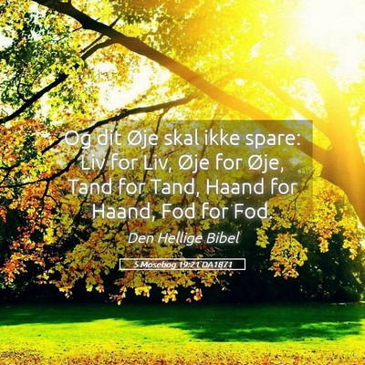 Picture 05 - 5 Mosebog 19:21 DA1871 - Og dit Øje skal ikke spare: Liv for Liv, Øje - Bible Verse Picture