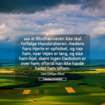 Picture 05 - 5 Mosebog 19:6 DA1871 - saa at Blodhævneren ikke skal forfølge - Bible Verse Picture