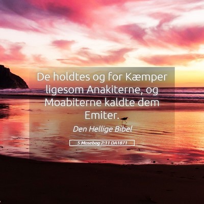 Picture 05 - 5 Mosebog 2:11 DA1871 - De holdtes og for Kæmper ligesom Anakiterne, og - Bible Verse Picture