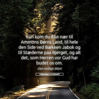 Picture 05 - 5 Mosebog 2:37 DA1871 - Kun kom du ikke nær til Ammons Børns Land, til - Bible Verse Picture