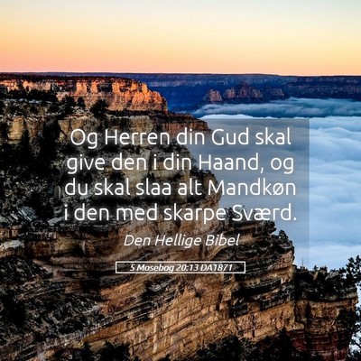 Picture 05 - 5 Mosebog 20:13 DA1871 - Og Herren din Gud skal give den i din Haand, og - Bible Verse Picture