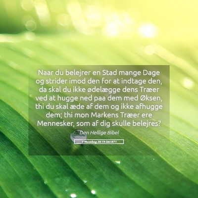 Picture 05 - 5 Mosebog 20:19 DA1871 - Naar du belejrer en Stad mange Dage og strider - Bible Verse Picture