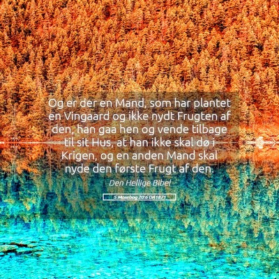 Picture 05 - 5 Mosebog 20:6 DA1871 - Og er der en Mand, som har plantet en Vingaard og - Bible Verse Picture