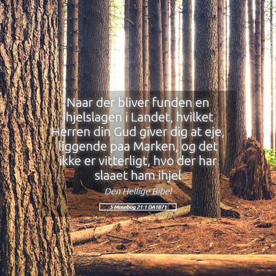 Picture 05 - 5 Mosebog 21:1 DA1871 - Naar der bliver funden en ihjelslagen i Landet, - Bible Verse Picture
