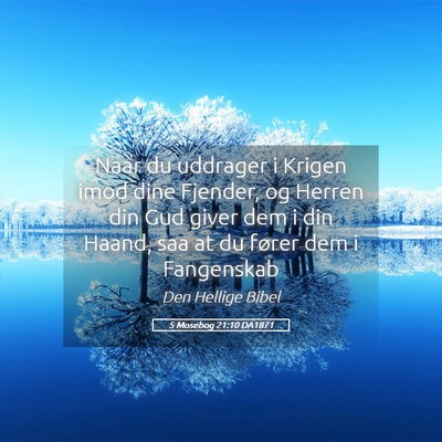 Picture 05 - 5 Mosebog 21:10 DA1871 - Naar du uddrager i Krigen imod dine Fjender, og - Bible Verse Picture