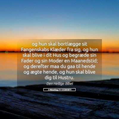 Picture 05 - 5 Mosebog 21:13 DA1871 - og hun skal bortlægge sit Fangenskabs Klæder - Bible Verse Picture