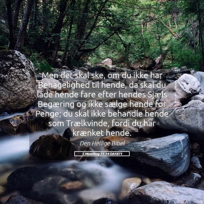 Picture 05 - 5 Mosebog 21:14 DA1871 - Men det skal ske, om du ikke har Behagelighed til - Bible Verse Picture