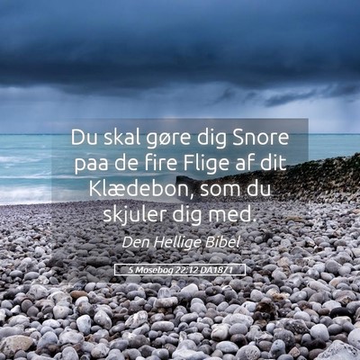 Picture 05 - 5 Mosebog 22:12 DA1871 - Du skal gøre dig Snore paa de fire Flige af dit - Bible Verse Picture