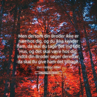 Picture 05 - 5 Mosebog 22:2 DA1871 - Men dersom din Broder ikke er nær hos dig, og du - Bible Verse Picture