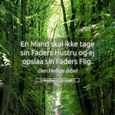 Picture 05 - 5 Mosebog 22:30 DA1871 - En Mand skal ikke tage sin Faders Hustru og ej - Bible Verse Picture