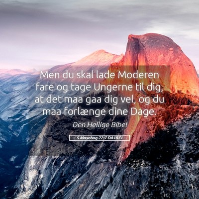 Picture 05 - 5 Mosebog 22:7 DA1871 - Men du skal lade Moderen fare og tage Ungerne til - Bible Verse Picture