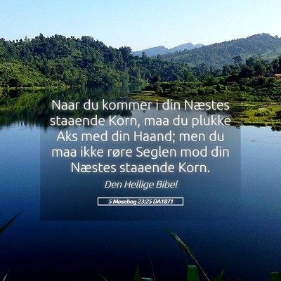 Picture 05 - 5 Mosebog 23:25 DA1871 - Naar du kommer i din Næstes staaende Korn, maa - Bible Verse Picture