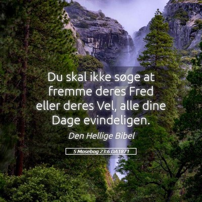 Picture 05 - 5 Mosebog 23:6 DA1871 - Du skal ikke søge at fremme deres Fred eller - Bible Verse Picture