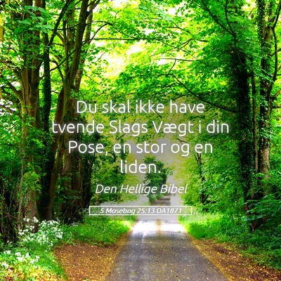 Picture 05 - 5 Mosebog 25:13 DA1871 - Du skal ikke have tvende Slags Vægt i din Pose, - Bible Verse Picture