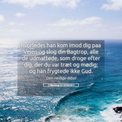 Picture 05 - 5 Mosebog 25:18 DA1871 - hvorledes han kom imod dig paa Vejen og slog din - Bible Verse Picture