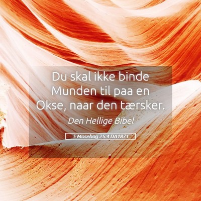 Picture 05 - 5 Mosebog 25:4 DA1871 - Du skal ikke binde Munden til paa en Okse, naar - Bible Verse Picture
