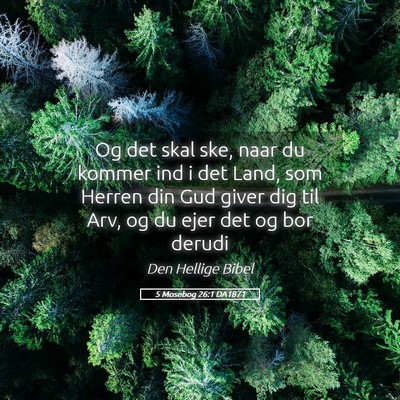 Picture 05 - 5 Mosebog 26:1 DA1871 - Og det skal ske, naar du kommer ind i det Land, - Bible Verse Picture