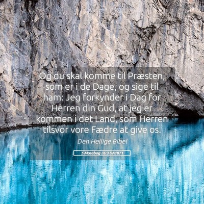 Picture 05 - 5 Mosebog 26:3 DA1871 - Og du skal komme til Præsten, som er i de Dage, - Bible Verse Picture