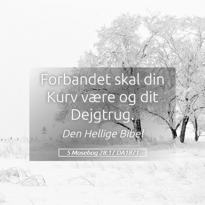 Picture 05 - 5 Mosebog 28:17 DA1871 - Forbandet skal din Kurv være og dit - Bible Verse Picture