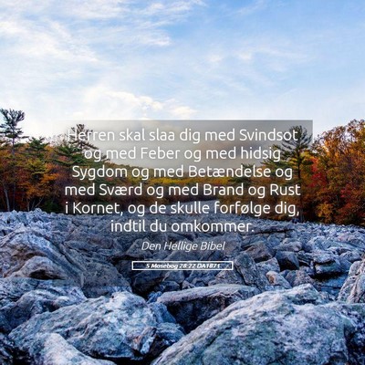 Picture 05 - 5 Mosebog 28:22 DA1871 - Herren skal slaa dig med Svindsot og med Feber og - Bible Verse Picture