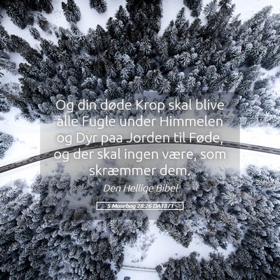 Picture 05 - 5 Mosebog 28:26 DA1871 - Og din døde Krop skal blive alle Fugle under - Bible Verse Picture
