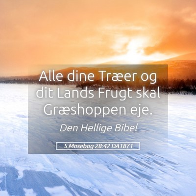 Picture 05 - 5 Mosebog 28:42 DA1871 - Alle dine Træer og dit Lands Frugt skal - Bible Verse Picture