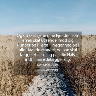 Picture 05 - 5 Mosebog 28:48 DA1871 - Og du skal tjene dine Fjender, som Herren skal - Bible Verse Picture