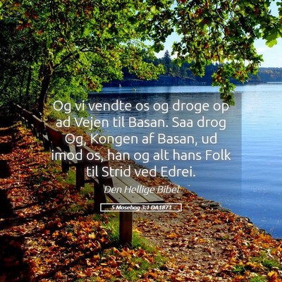 Picture 05 - 5 Mosebog 3:1 DA1871 - Og vi vendte os og droge op ad Vejen til Basan. - Bible Verse Picture