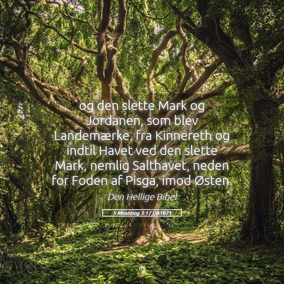 Picture 05 - 5 Mosebog 3:17 DA1871 - og den slette Mark og Jordanen, som blev - Bible Verse Picture