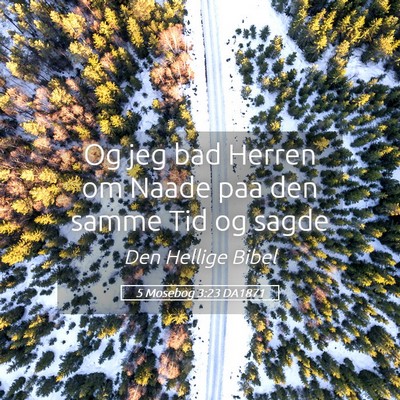 Picture 05 - 5 Mosebog 3:23 DA1871 - Og jeg bad Herren om Naade paa den samme Tid og - Bible Verse Picture