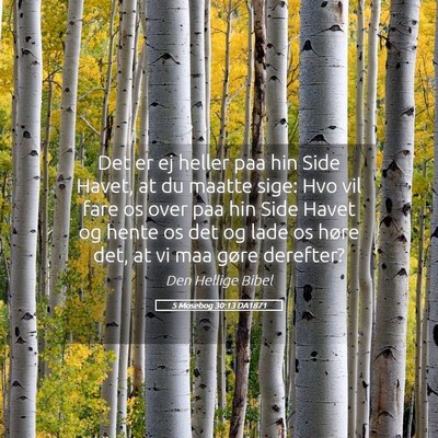 Picture 05 - 5 Mosebog 30:13 DA1871 - Det er ej heller paa hin Side Havet, at du maatte - Bible Verse Picture