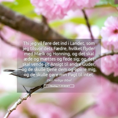 Picture 05 - 5 Mosebog 31:20 DA1871 - Thi jeg vil føre det ind i Landet, som jeg - Bible Verse Picture