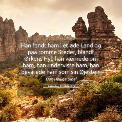 Picture 05 - 5 Mosebog 32:10 DA1871 - Han fandt ham i et øde Land og paa tomme Steder, - Bible Verse Picture