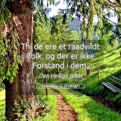 Picture 05 - 5 Mosebog 32:28 DA1871 - Thi de ere et raadvildt Folk, og der er ikke - Bible Verse Picture