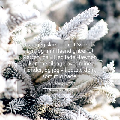 Picture 05 - 5 Mosebog 32:41 DA1871 - Naar jeg skærper mit Sværds Lyn, og min Haand - Bible Verse Picture