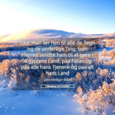 Picture 05 - 5 Mosebog 34:11 DA1871 - naar man ser hen til alle de Tegn og de underlige - Bible Verse Picture