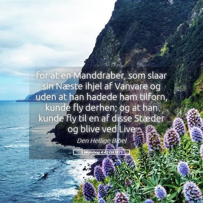 Picture 05 - 5 Mosebog 4:42 DA1871 - for at en Manddraber, som slaar sin Næste ihjel - Bible Verse Picture
