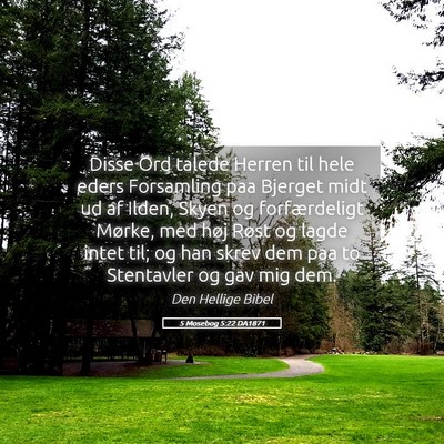 Picture 05 - 5 Mosebog 5:22 DA1871 - Disse Ord talede Herren til hele eders Forsamling - Bible Verse Picture