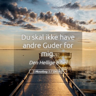 Picture 05 - 5 Mosebog 5:7 DA1871 - Du skal ikke have andre Guder for - Bible Verse Picture
