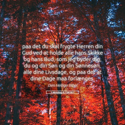 Picture 05 - 5 Mosebog 6:2 DA1871 - paa det du skal frygte Herren din Gud ved at - Bible Verse Picture