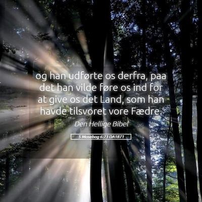 Picture 05 - 5 Mosebog 6:23 DA1871 - og han udførte os derfra, paa det han vilde - Bible Verse Picture