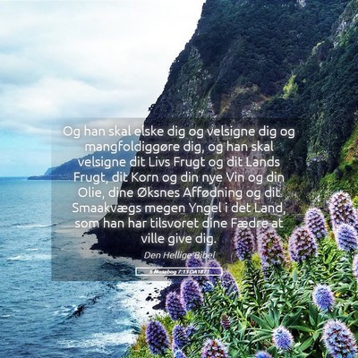 Picture 05 - 5 Mosebog 7:13 DA1871 - Og han skal elske dig og velsigne dig og - Bible Verse Picture
